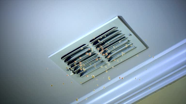 Best HVAC Duct Inspection Services  in Mayfield, KY