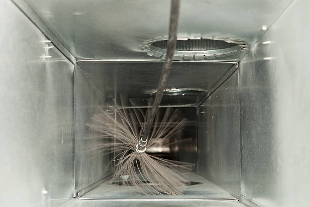 Air Duct Mold Removal in KY