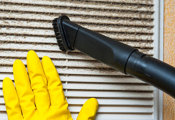 Best Air Duct Mold Removal  in Mayfield, KY